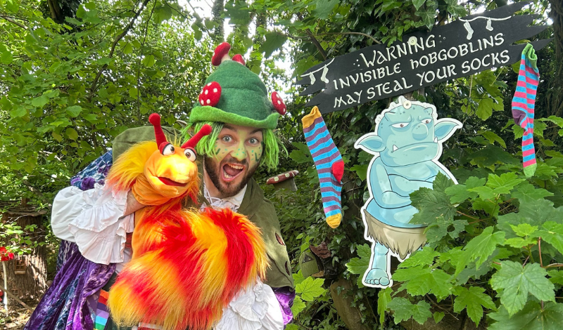 Enchanted Fairy Forest article image